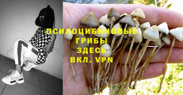 гашиш Верея
